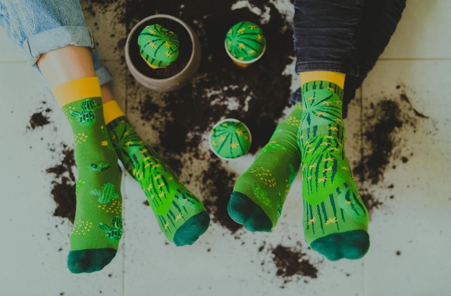 Man and woman wearing green funny cactus socks